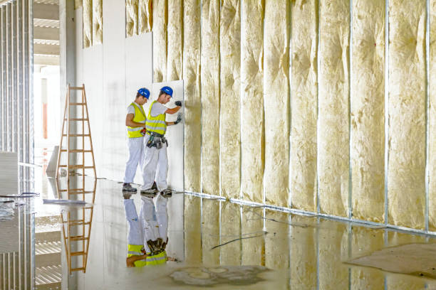 Professional Insulation Contractor in MD